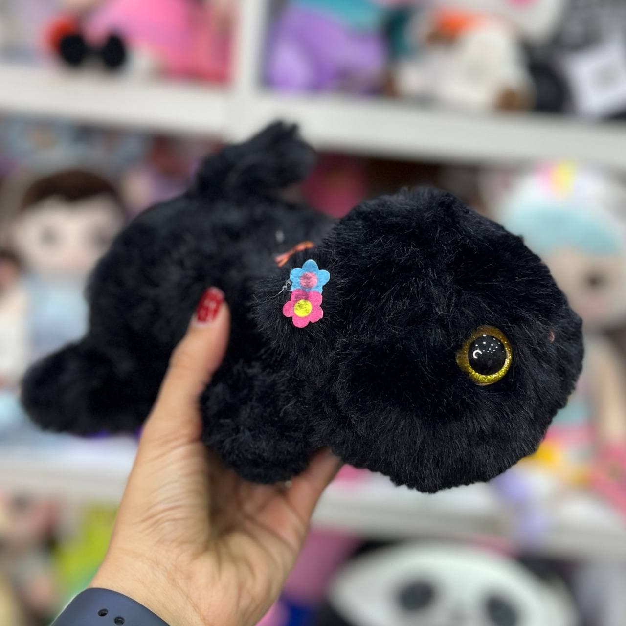گربه چشم تیله ای