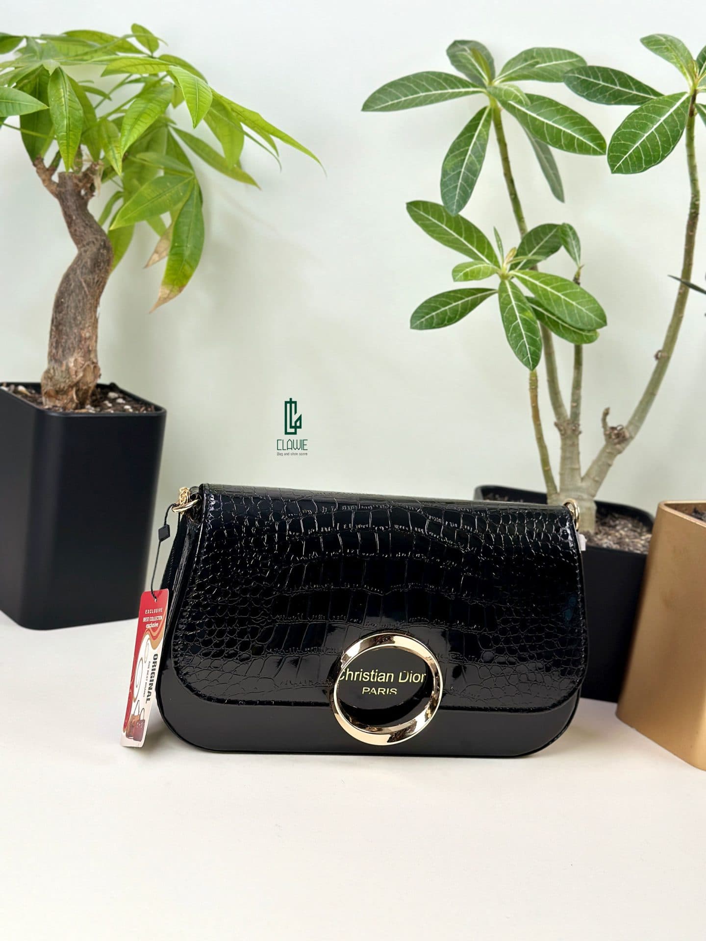 کیف شیک پاسپورتی : dior__33 — تصویر ۲