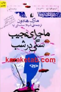 ماجرای عجیب سگی در شب — تصویر ۳