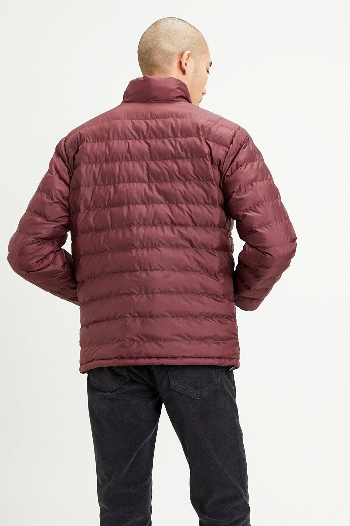 کاپشن لیوایز مردانه بورگاندی راسته بامبر بامبر Daily/روزانه | Levi’s 61TS61 — تصویر ۲