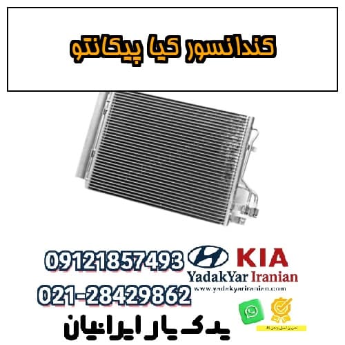 کندانسور کیا پیکانتو