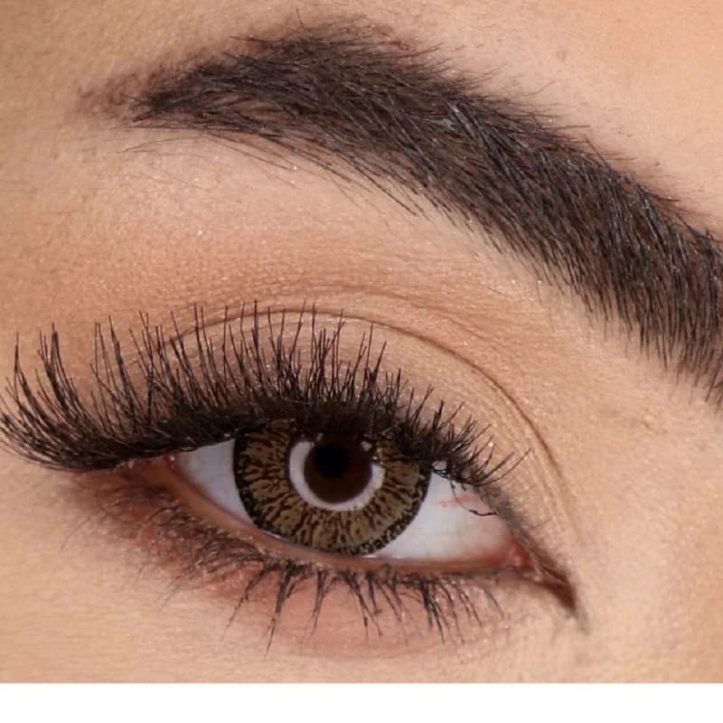 لنز رنگی چشم نیو ویژن پرو رنگ عسلی تیره دور دار (NEW VISION-PRO) مدل هازل2 (Hazel2) — تصویر ۲