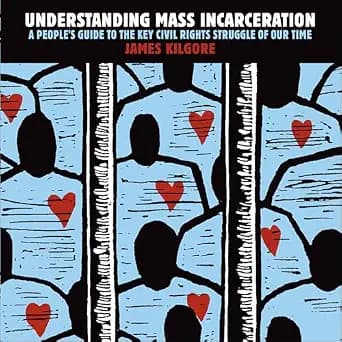 و دانلود نسخه کامل کتاب زبان اصلی Understanding Mass Incarceration: A People’s Guide to the Key Civil Rights Struggle of Our Time PDF | دانلود کتاب خارجی