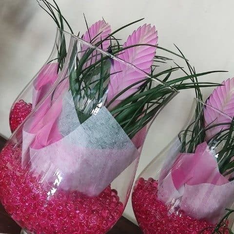 وریزیا مناسب برای تزئین فضاهای تفریحی