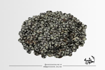 شکلات چیپسی دو رنگ 100 گرمی