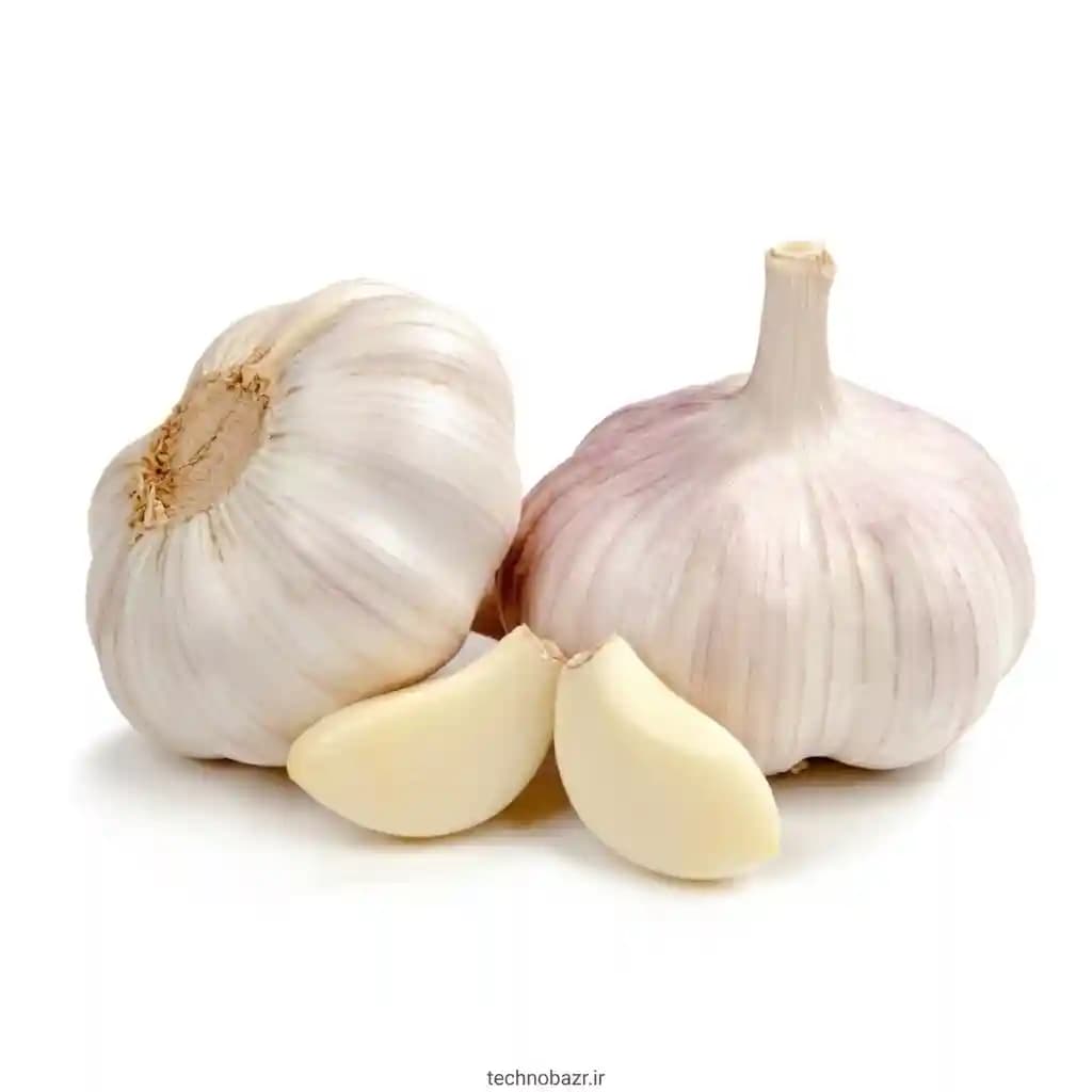 بذر سیر