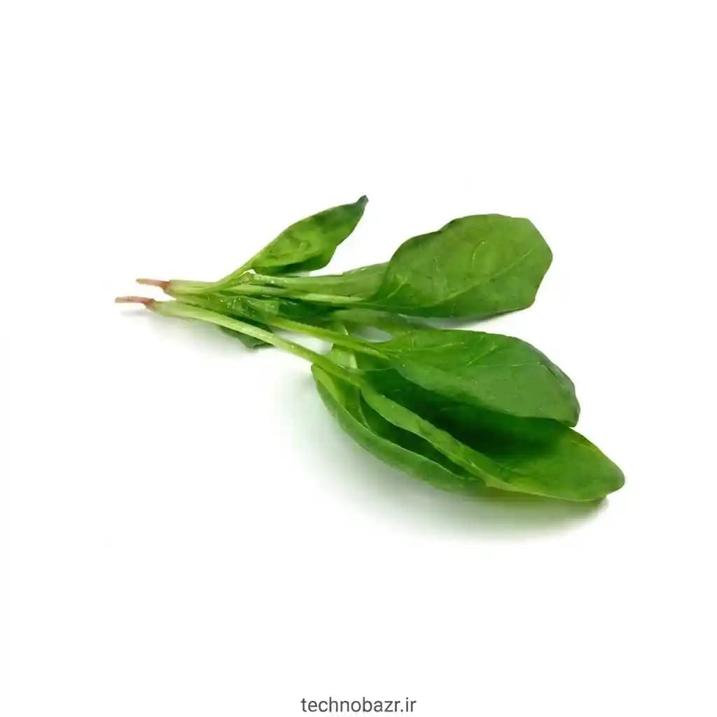 بذر سبزی شاهی (عمده و خانگی)