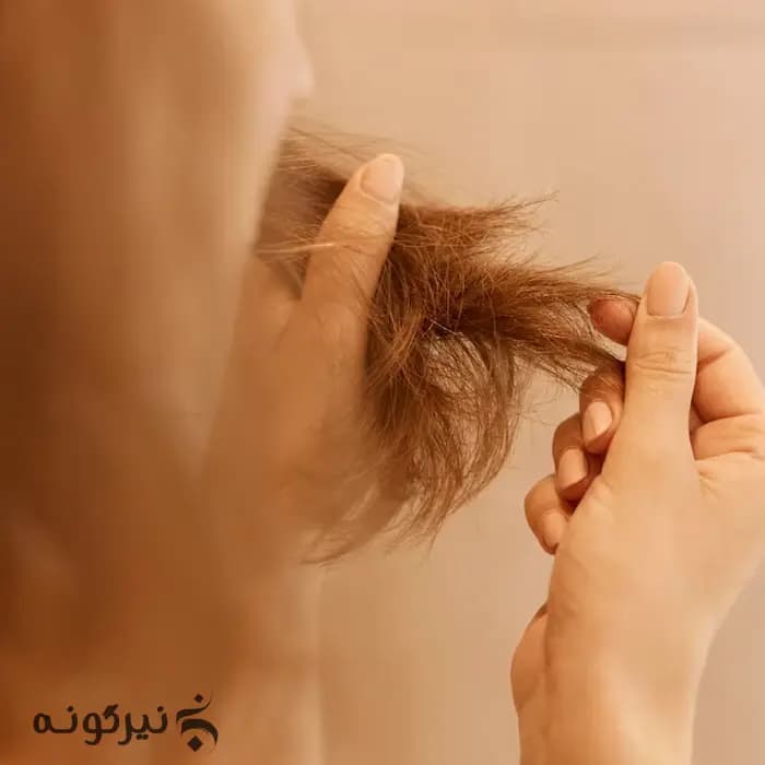 شامپو شیر نارگیل و آلوورا ماوی مخصوص موی خشک — تصویر ۴