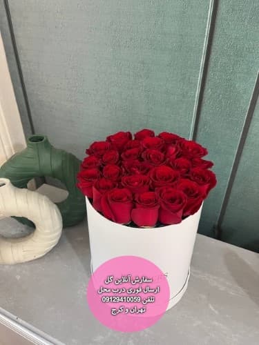 گل و گیاه غرب تهران ستاری با ارسال فوری و قیمت ارزان 7649