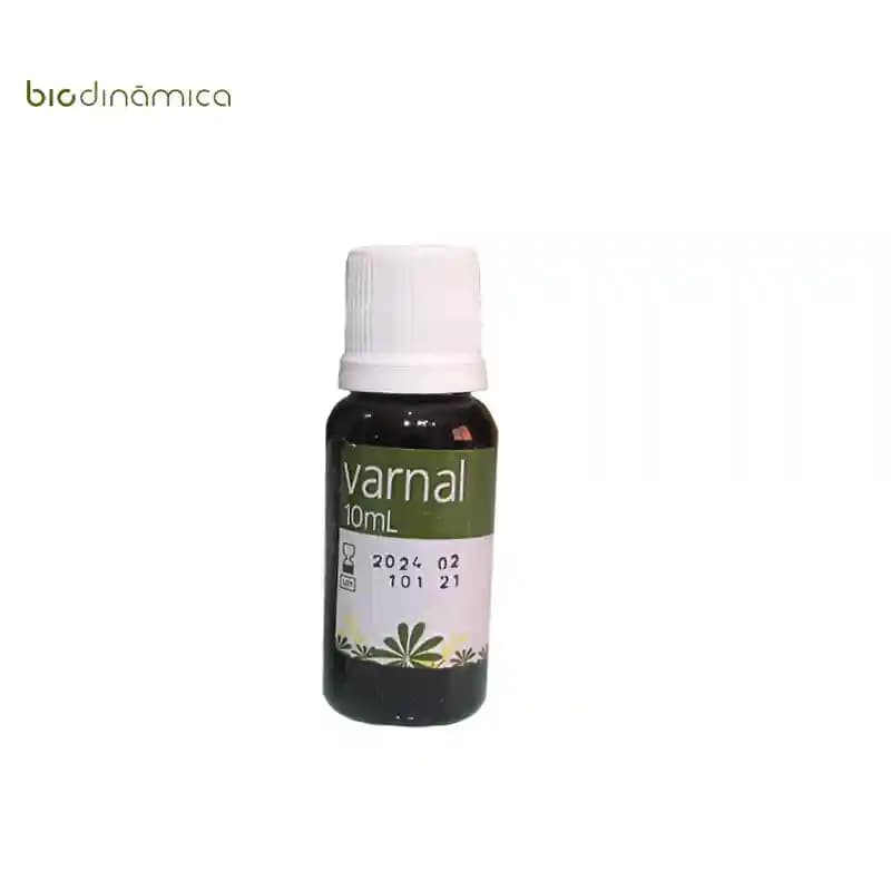 محلول کویتی وارنیش Biodinamica – Varnal — تصویر ۴