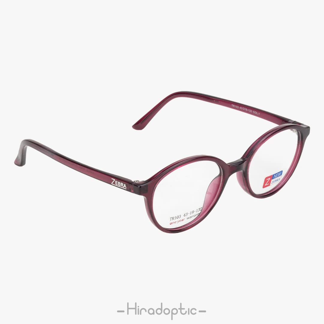 عینک طبی بچگانه زبرا 103<br><span>Zebra TR103</span> — تصویر ۷