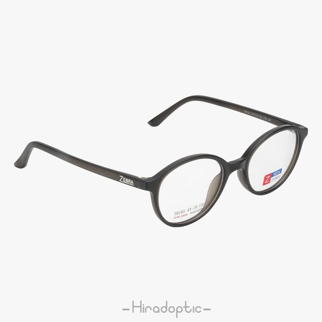 عینک طبی بچگانه زبرا 103<br><span>Zebra TR103</span> — تصویر ۸