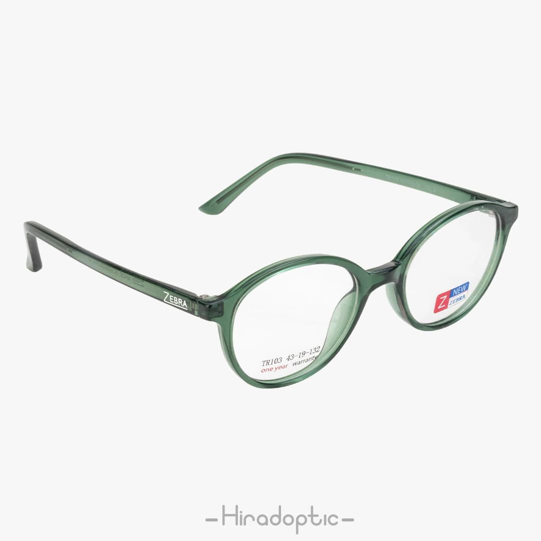 عینک طبی بچگانه زبرا 103<br><span>Zebra TR103</span> — تصویر ۲