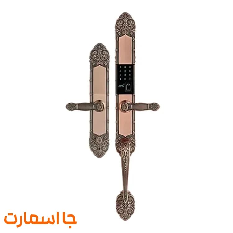 دستگیره هوشمند هوم لاک C۲۰۰