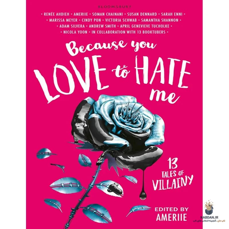 کتاب Because You Love to Hate Me (چون عاشق این هستی که از من متنفر باشی) نسخه انگلیسی PDF | رنی آهدیه