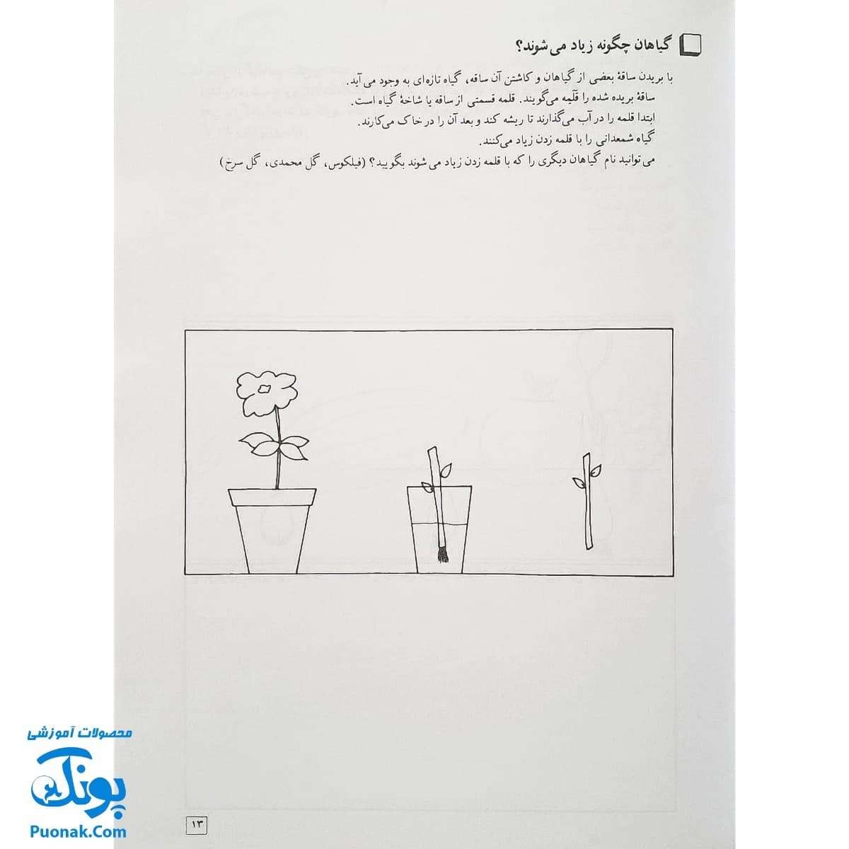 کتاب آموزش علوم ۱ اثر شعله دولت آبادی (کانون پرورش فکری کودکان و نوجوانان) — تصویر ۶