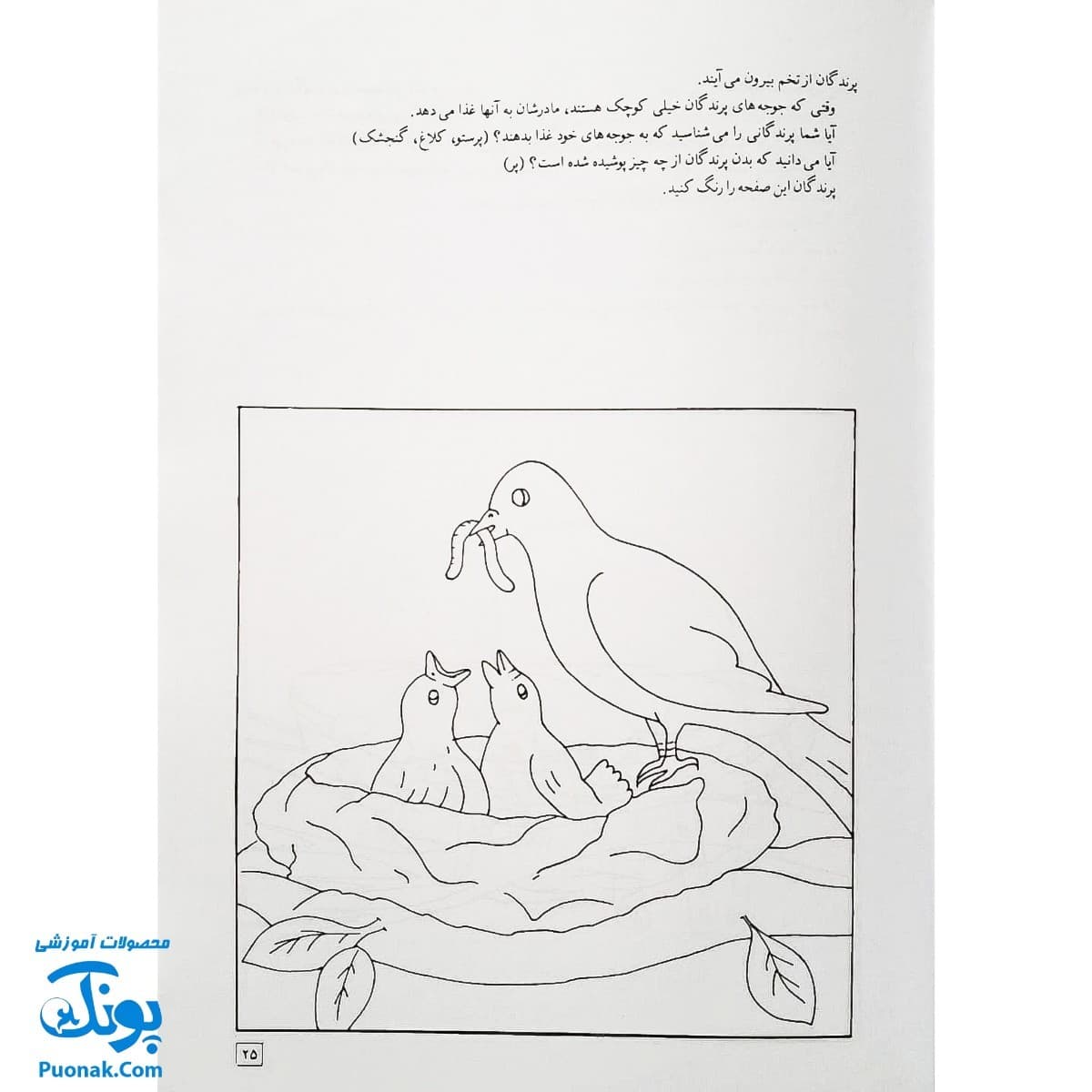 کتاب آموزش علوم ۱ اثر شعله دولت آبادی (کانون پرورش فکری کودکان و نوجوانان) — تصویر ۸
