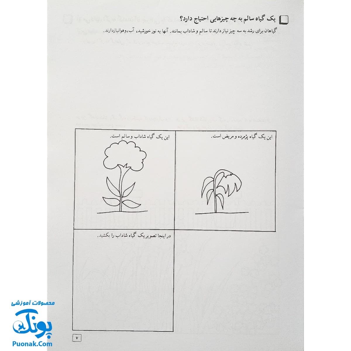 کتاب آموزش علوم ۱ اثر شعله دولت آبادی (کانون پرورش فکری کودکان و نوجوانان) — تصویر ۴