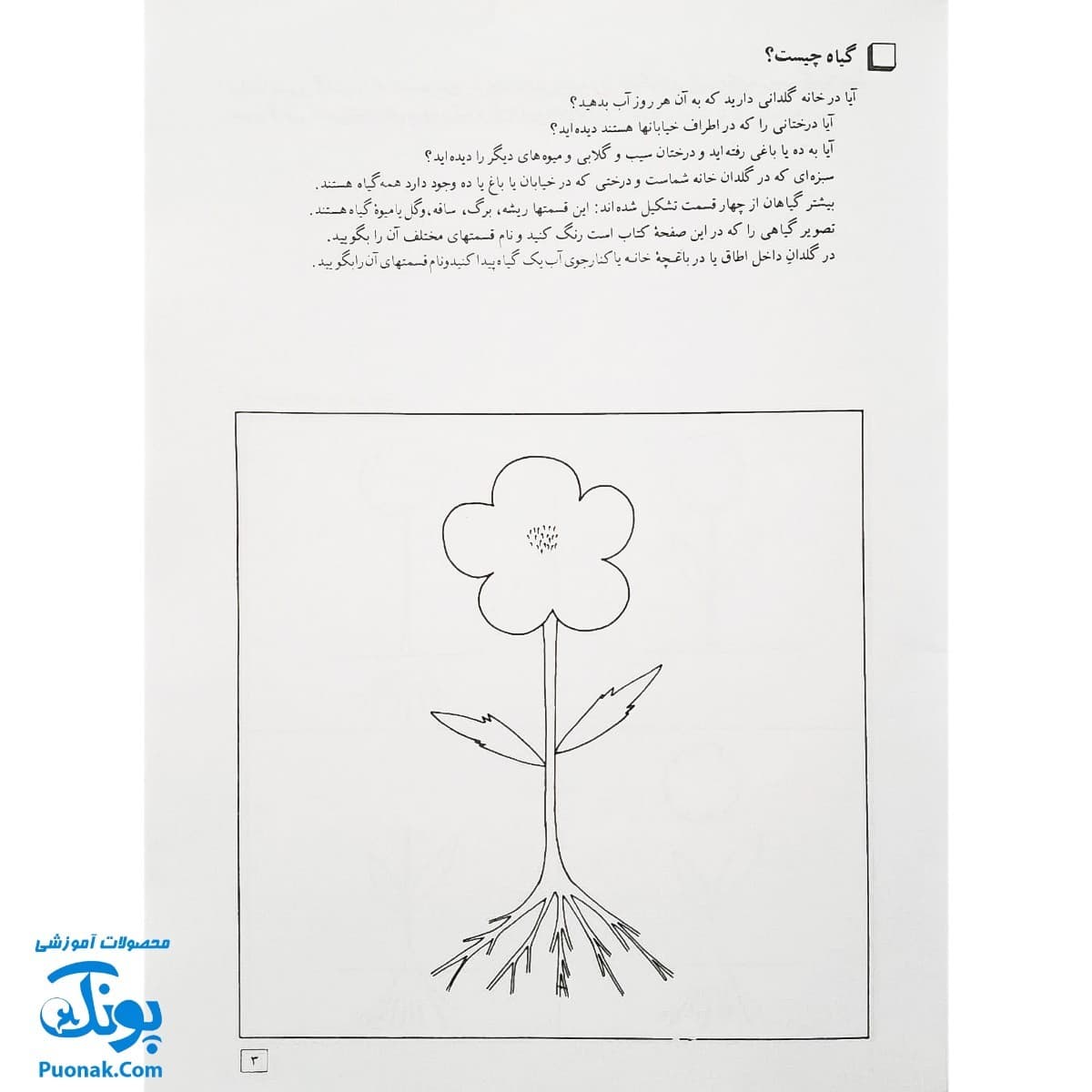 کتاب آموزش علوم ۱ اثر شعله دولت آبادی (کانون پرورش فکری کودکان و نوجوانان) — تصویر ۳