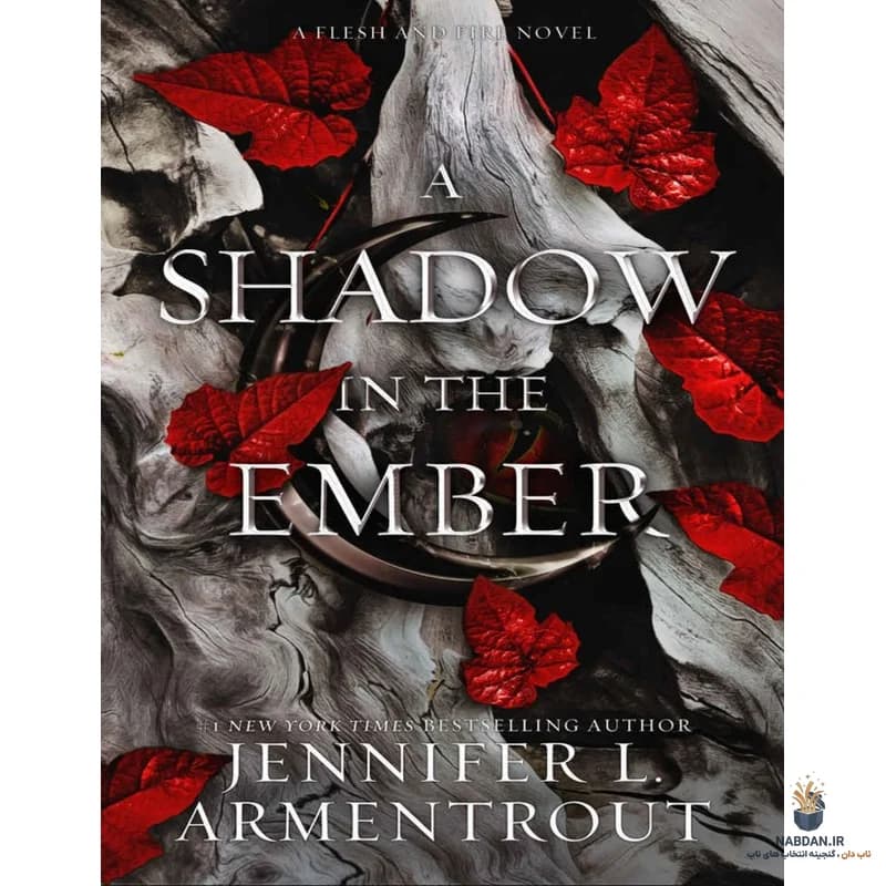 کتاب A Shadow in the Ember (سایه‌ای در اخگر) نسخه انگلیسی PDF | جنیفر آرمنتروت