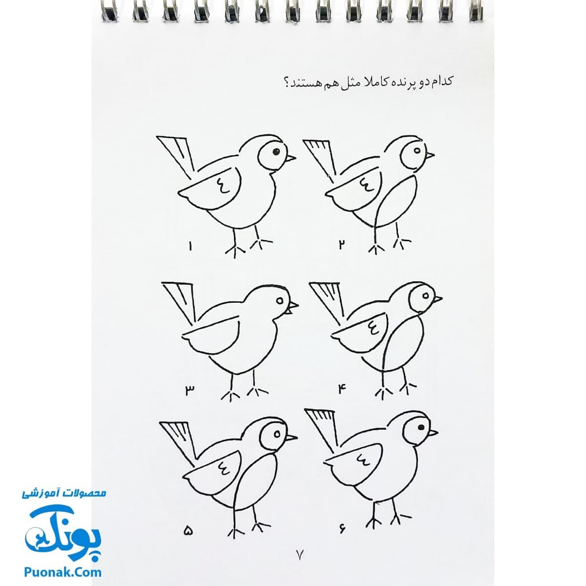 کتاب ذهن فعال ۸ هوش و دقت ۴ (شامل ۶۲ معمای تصویری برای کودکان) — تصویر ۵