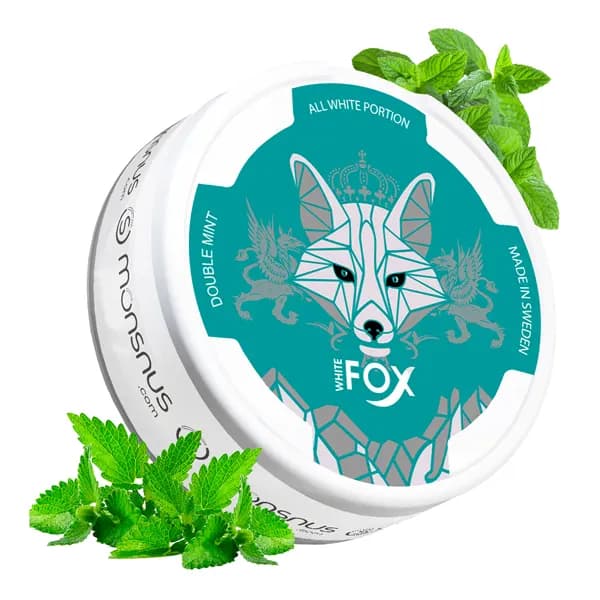 کیسه نیکوتین نعنا وایت فاکس | White Fox Double mint Bag