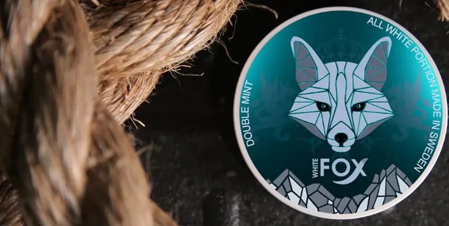 کیسه نیکوتین نعنا وایت فاکس | White Fox Double mint Bag — تصویر ۴