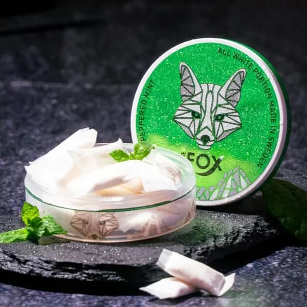 کیسه نیکوتین نعنا یخ وایت فاکس | White Fox Peppered mint Bag — تصویر ۳