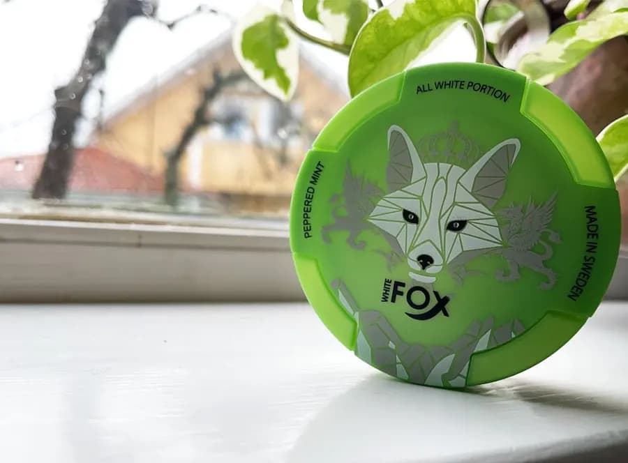 کیسه نیکوتین نعنا یخ وایت فاکس | White Fox Peppered mint Bag — تصویر ۴