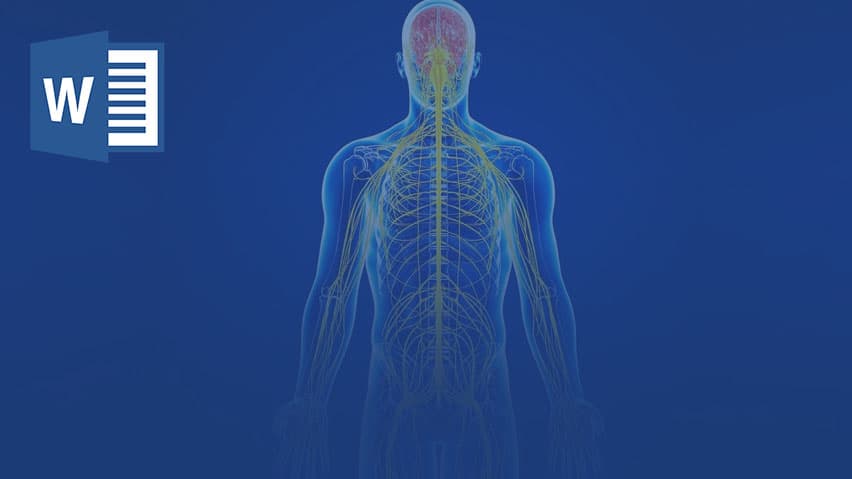 و دانلود تحقیق ساختار سیستم عصبی