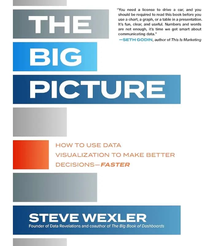 کتاب The Big Picture: How to Use Data Visualization to Make Better Decisions اثر Steve Wexler | نسخه انگلیسی PDF