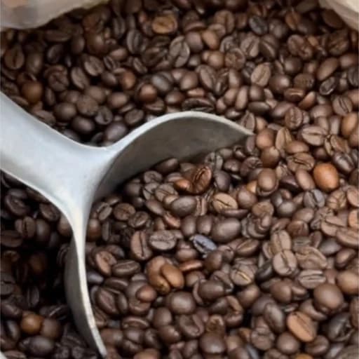 قهوه اسپرسو 60 روبوستا 40 عربیکا (1000 گرم)