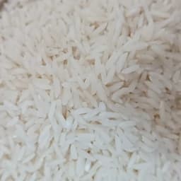 برنج طارم امراللهی ( 5 کیلو ) — تصویر ۲