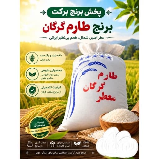 برنج طارم شمال با کیفیت عالی و قیمت مناسب