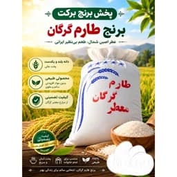 برنج طارم شمال با کیفیت عالی و قیمت مناسب — تصویر ۲