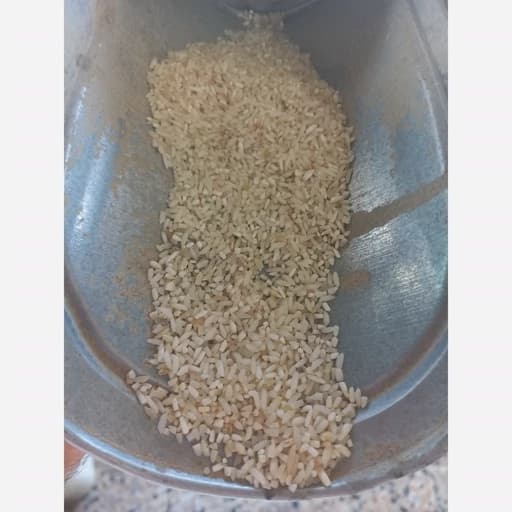 برنج سرلاشه حاج علی اکبر(اقتصاد)