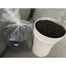 چای قلم ممتاز درجه 1 بهاره(چین اول) — تصویر ۲