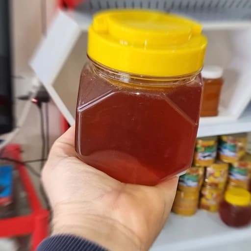 عسل طبیعی فرفیون (شیرتیزه) یک کیلویی ساکارز یک ارسال رایگان