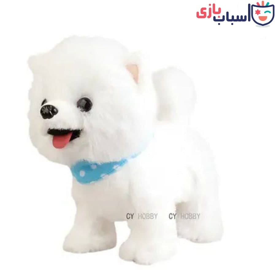 سگ پولیشی قلاده دار کد 333_331 — تصویر ۳