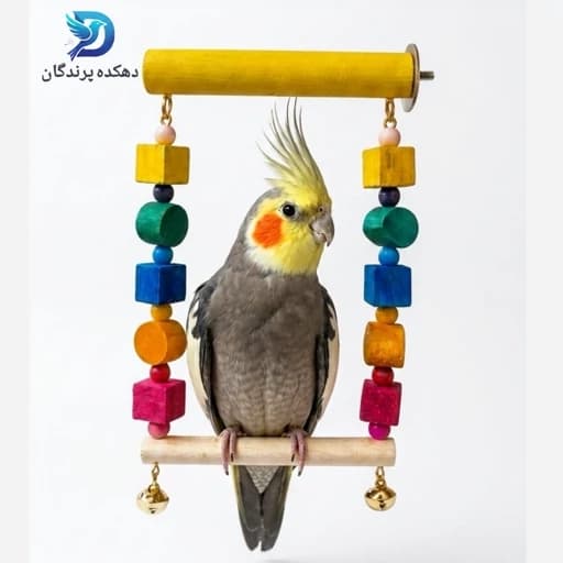 اسباب بازی پرنده مدل تاب یکطرفه عروس هلندی