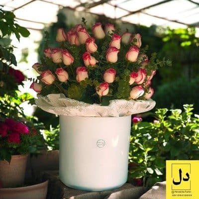 سفارش گل برای تحویل در سالن هنر شهر افتاب