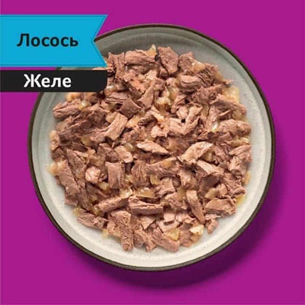 پوچ گربه ویسکاس روسیه خرگوش در ژله بسته 24 عددی — تصویر ۲