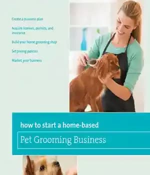 دانلود کتاب How to Start a Home-based Pet Grooming Business – چگونه یک کسب و کار نظافت حیوانات خانگی را…