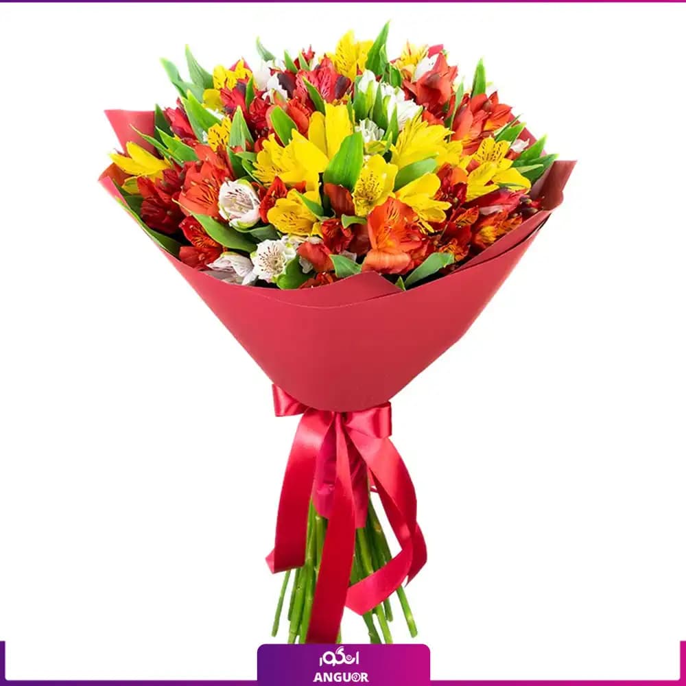دسته گل آلسترومریا سه رنگ (25 شاخه)