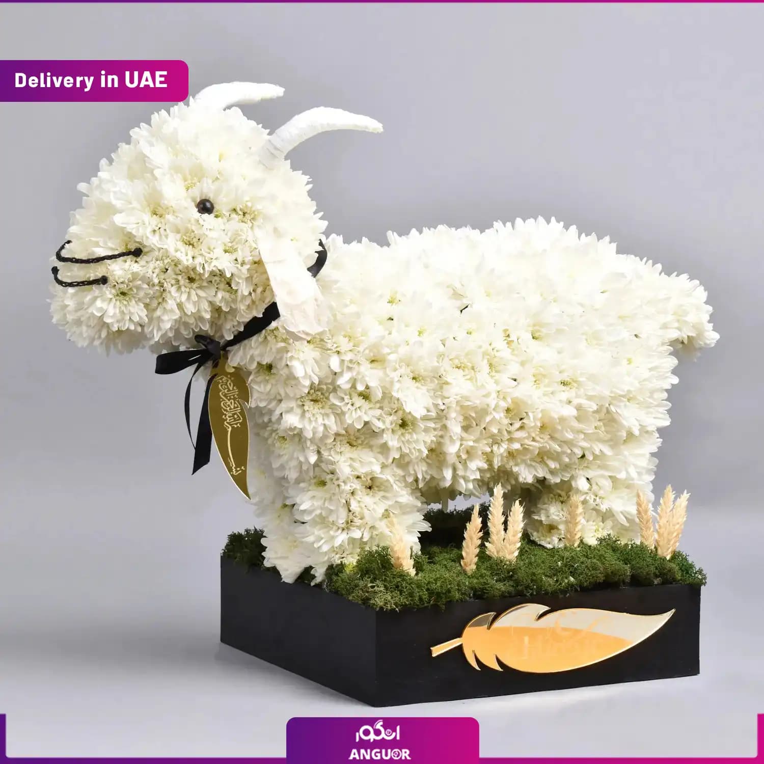 طرح گوسفند گلدار ویژه عید قربان (دبی و امارات)