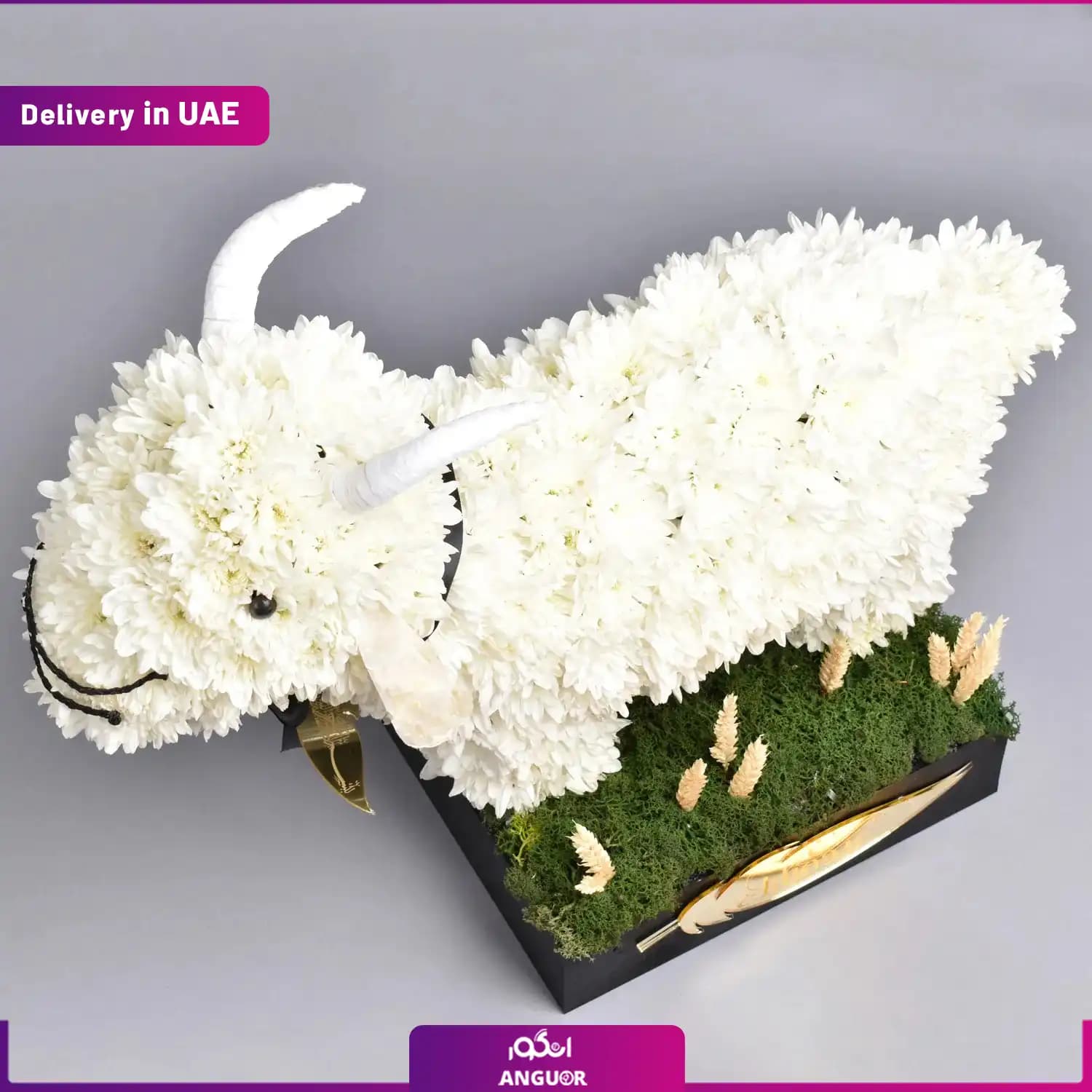 طرح گوسفند گلدار ویژه عید قربان (دبی و امارات) — تصویر ۳