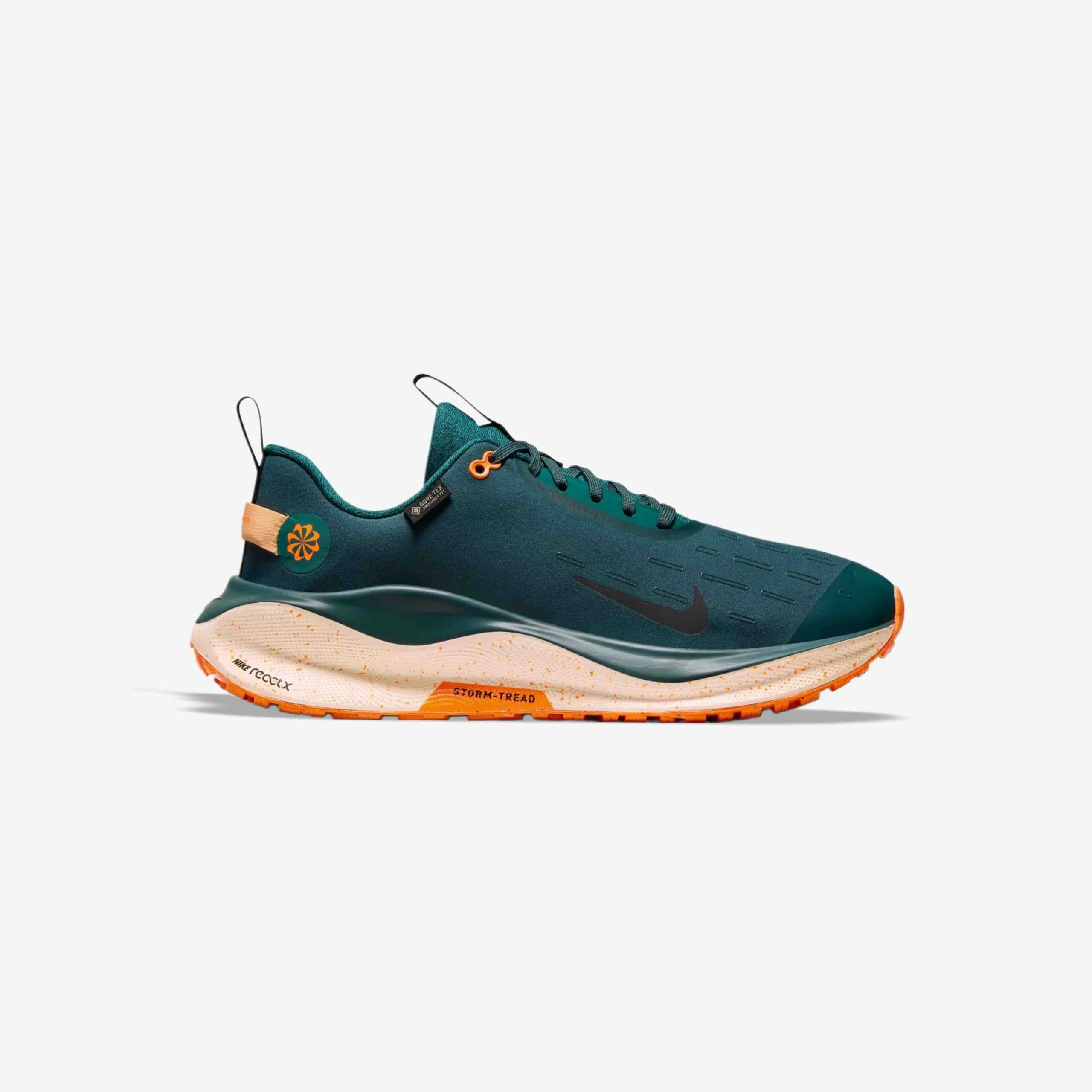 کفش دویدن طبیعت Nike مدل Infinity Run 4 Gore-tex – FB2204-300