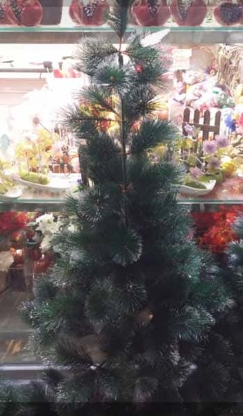 درخت کریسمس سوزنی 150 سانتی نک اکلیلی