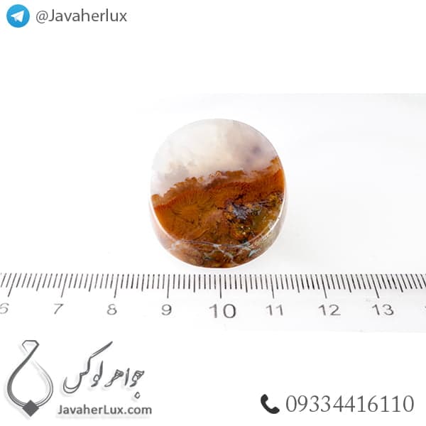 نگین عقیق شجر دریایی مدل برته _ کد : 400260 — تصویر ۳