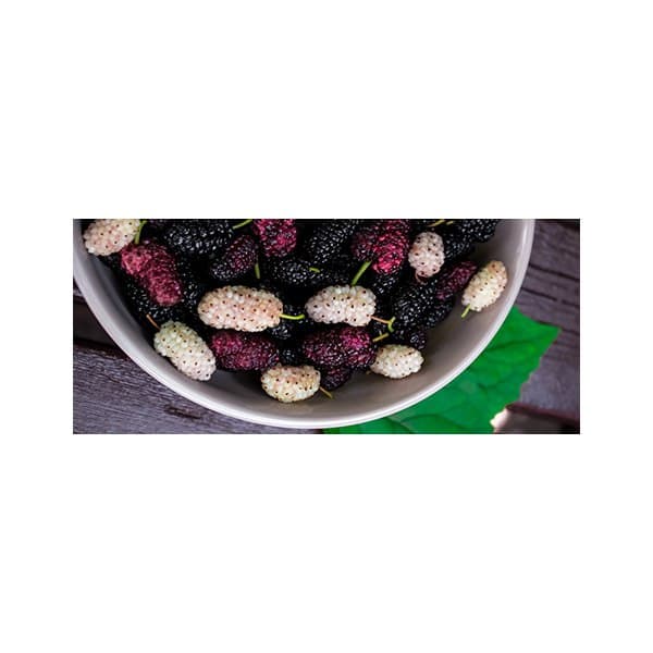 پادری آشپزخانه مدل ظرف توت سیاه و سفیدMH0051 — تصویر ۲